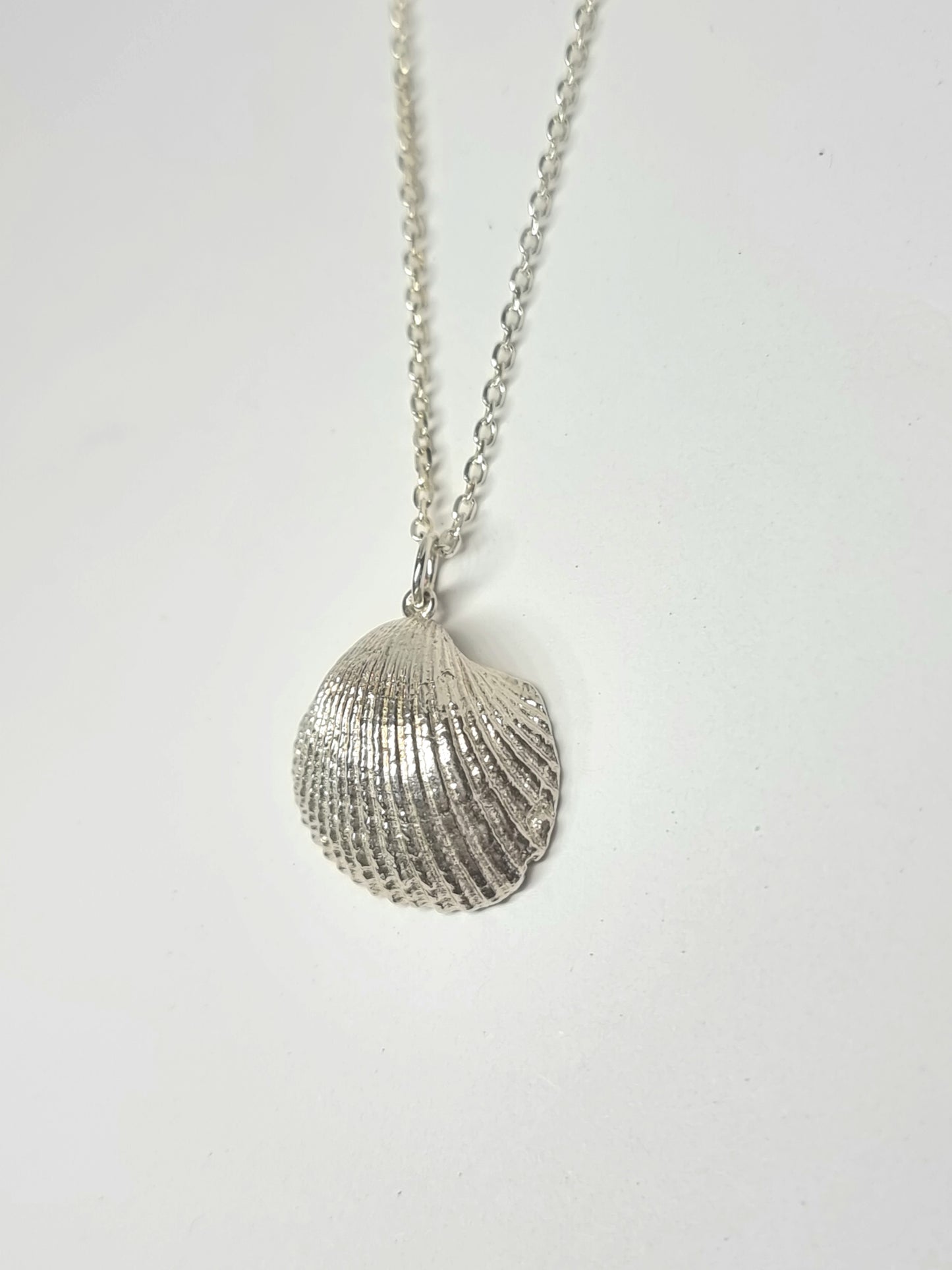Stradbroke Coastal Silver Shell Pendant