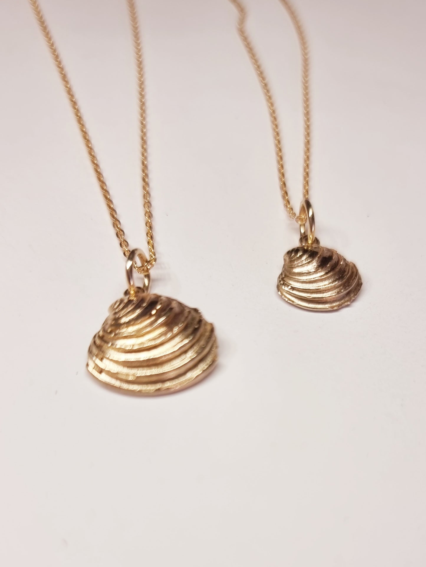 Coastal Shell Pendant Yellow Gold